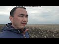 Первый посев по No-Till. Переход на прямой посев.