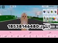 اكواد المشيه الجديده في ماب البيوت طلب متابعه كيوتت اكواد المشيه الجديده في ماب البيوت طلب متابعه كيوتت