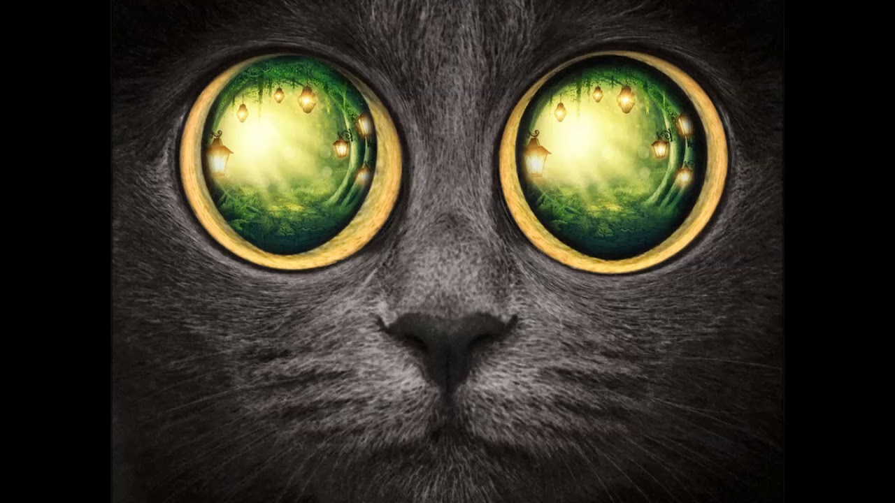 Official - Pronobis - Welcome Back