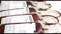Gut bacteria provide key to making universal blood (video)