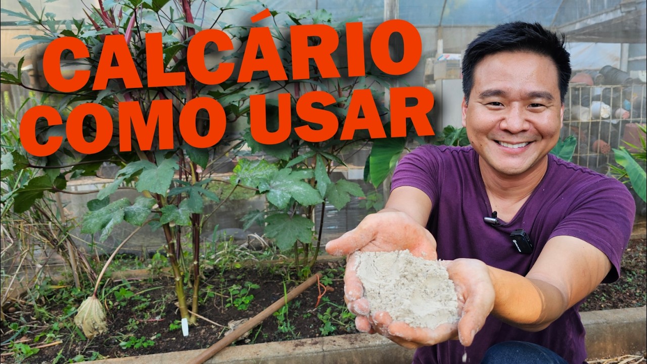 Calcário para corrigir a acidez