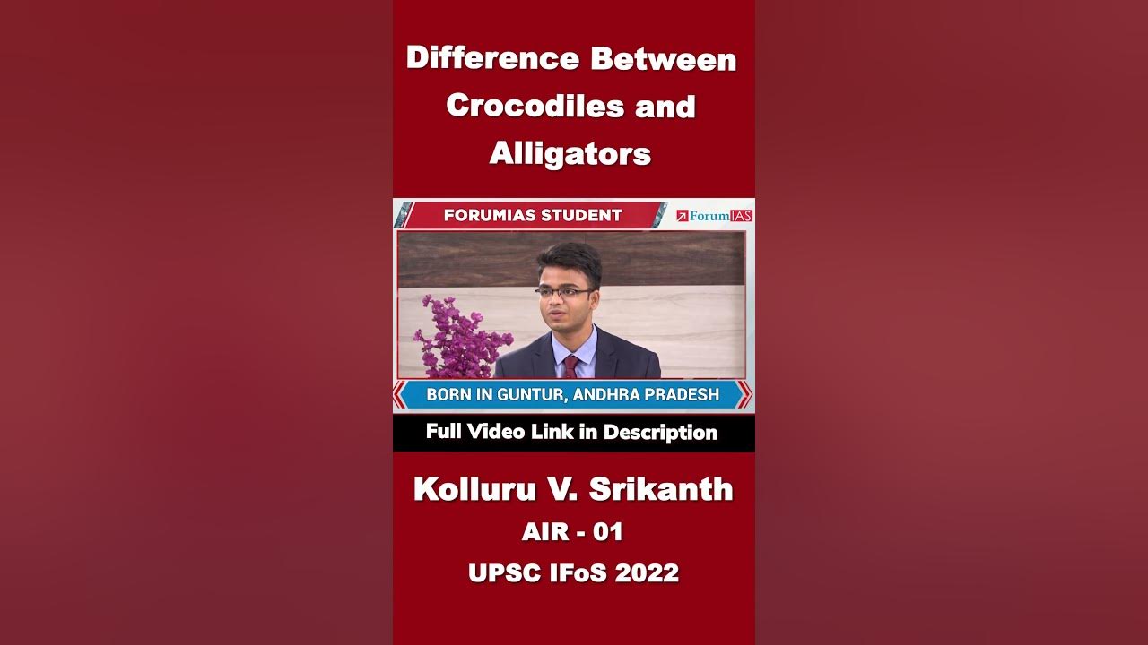 Difference In Alligators And Crocodiles