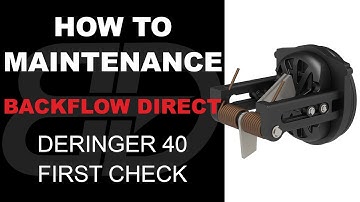 How to Maintenance a 6" - 8" Deringer 40 First Check