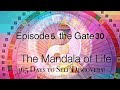 EPISODE 5:GATE 30: THE CLINGING FIRE : THE HUMAN DESIGN MANDALA OF LIFE: 365 Days to Self Discovery!