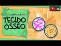 Quiz sobre Tecidos Ósseos