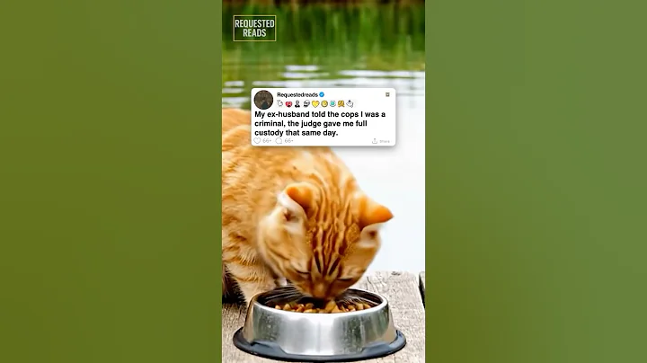 My ex-husband told the cops I was a criminal, the judge gave me full custody that same day.