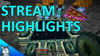 Killing The Ender Dragon on Our Lockdown Server - Funny Stream Highlights