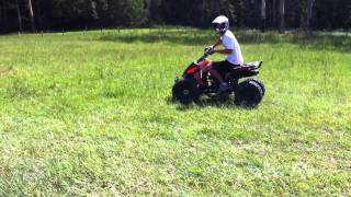 Atomik Feral 250cc atv Quad bike on side rim