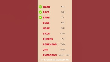 10 từ vựng tiếng anh chủ đề cơ thể người phần 1 #tienganh #tuvung #tienganhgiaotiep