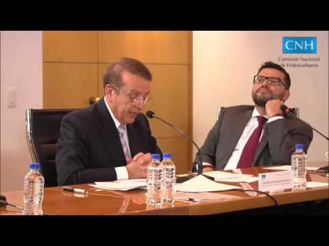 1ª Sesión Extraordinaria del Órgano de Gobierno CNH (12/01/2016) cnhl