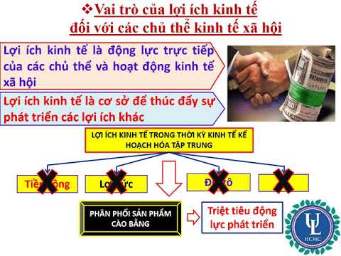 Video: Kiến Trúc Như Một Lực Lượng Gắn Kết Xã Hội