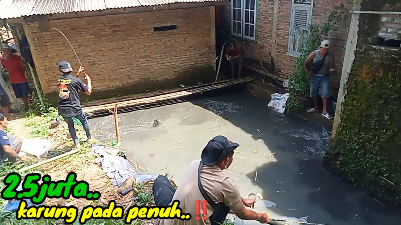 SANGAT DI LUAR DUGAAN..‼️ mancing lele sampai bingung naruh ikannya.⁉️