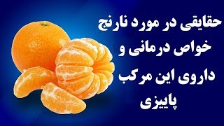 خواص نارنج ؛ مادر مرکبات پاییزی