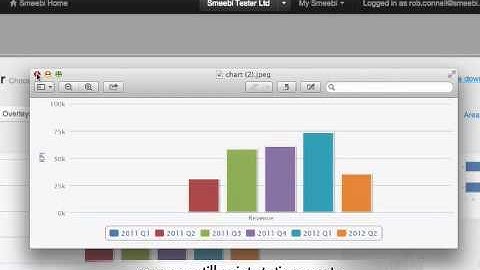 Using Smeebi SaaS BI (extended version with voice over)