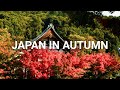 14 Days in Japan - Autumn trip