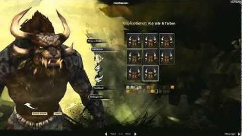 Guild Wars 2 - Char Extended Character Customization at GamesCom 2011 HD