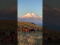 Самая красивая гора в мире Эльбрус 😍 Кабарадино-Балкария #приэльбрусье #mountains #турыонлайн