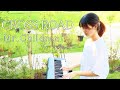 【歌うま女子】Mr.Children初期の大ヒット曲♪CROSS ROADをピアノ&ギターでカバー【ミスターチルドレン / クロスロード】
