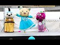 KASAGI鍋フェスタ2025　みっけちゃんバレエダンスステージ　2025年2月1日