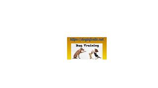 Furbo Dog Camera: Treat Tossing, Full HD Wifi Pet Camera and 2-Way Audio screenshot 5