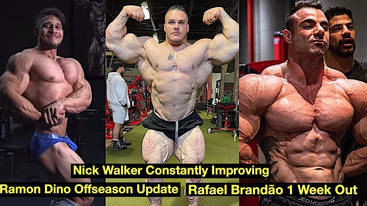 Nick Ramon Nick Walker Constantly Improving + Ramon Dino Offseason Update + Rafael ...