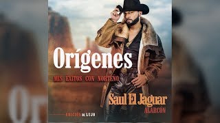 Video thumbnail of "Saúl el Jaguar - Número Equivocado (Norteño Sax) 😐 2018"