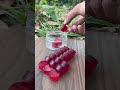 Survival skills: dad shows how to make 100% good Soap and Water