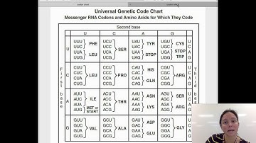 Reading Genetic Codon Charts/Wheels