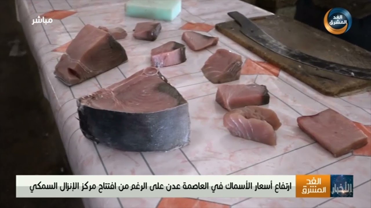 ارتفاع أسعار الأسماك في العاصمة عدن على الرغم من افتتاح مركز الإنزال السمكي