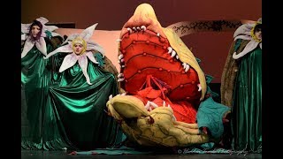  Audrey II Plant Rental Puppets Instructional Video