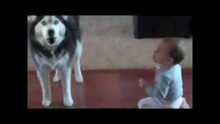 Amazing Dogs and Babies!. Puppy Love Donny Osmond