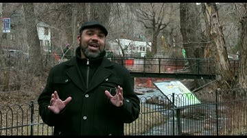 Course Reflection - Intro to Film and Video - DCBS - Full Sail University