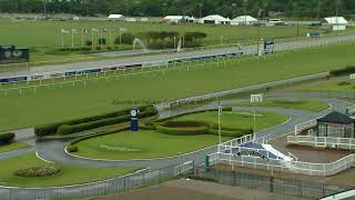 Jockey Club hipódromo en vivo