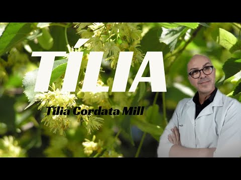Vídeo: Tília - Propriedades E Flores De Tília, Uso Da Flor De Tília