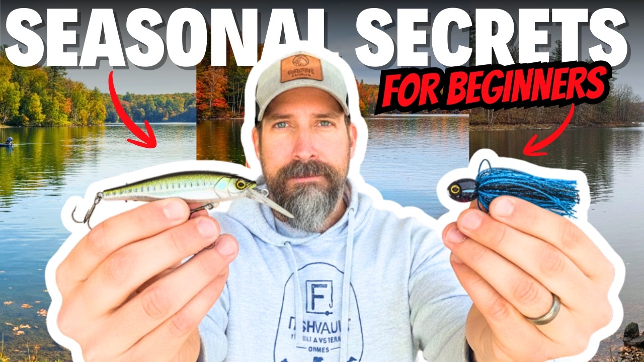 Fall Bass Fishing for Beginners – *Best Baits Month by Month*