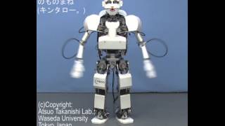 ヒューマンロボット　メロロン 5月9日(金)18時より抽選開始】【HUMAN ROBOT】メロロン(HAKABA