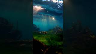 #best #nature #scenery #worldwide #music