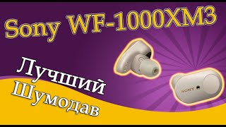 Sony WF-1000XM3 – лучшее шумоподавление в TWS наушниках [ОБЗОР]