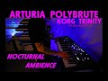 Arturia Polybrute Korg Trinity Nocturnal Ambience Analog Digital Synthesizer