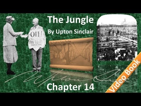 Chapter 14 - The Jungle by Upton Sinclair