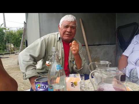 шипове, как да се излекуваме от шипове рецепта за шипове от Милко от Осмар  Şumen