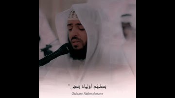 {يَا أَيُّها الَّذِين آمنُوا لَا تَتَّخِذُوا اليَهُود وَالنَّصَارىٰ أَولِيَاءَ} - القارئ وديع اليمني