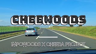 X Cheewoods Music Skateboarding Collab