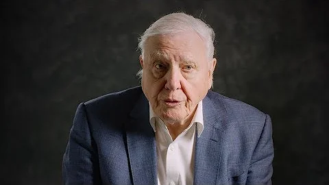 David Attenborough Explains What We Need to Do to Stop Over-Fishing - DayDayNews