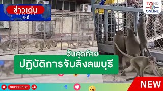 ปฏิบัติการจับลิงลพบุรี เป็นวันสุดท้าย