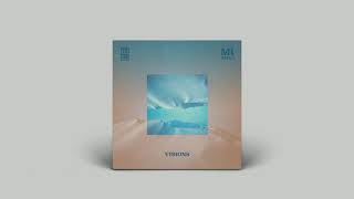 Mr. Käfer, ZeDe - Visions