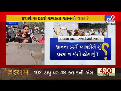 Rising cases of dog bite haunting parents in Rajkot |Gujarat |TV9GujaratiNews