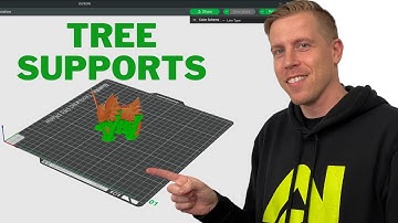 Best Tree Support Settings in Bambu Studio