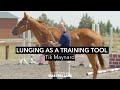 Tik Maynard: Lunging as a Training Tool