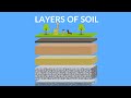 Layers of Soil and Their Importance in Ecosystems